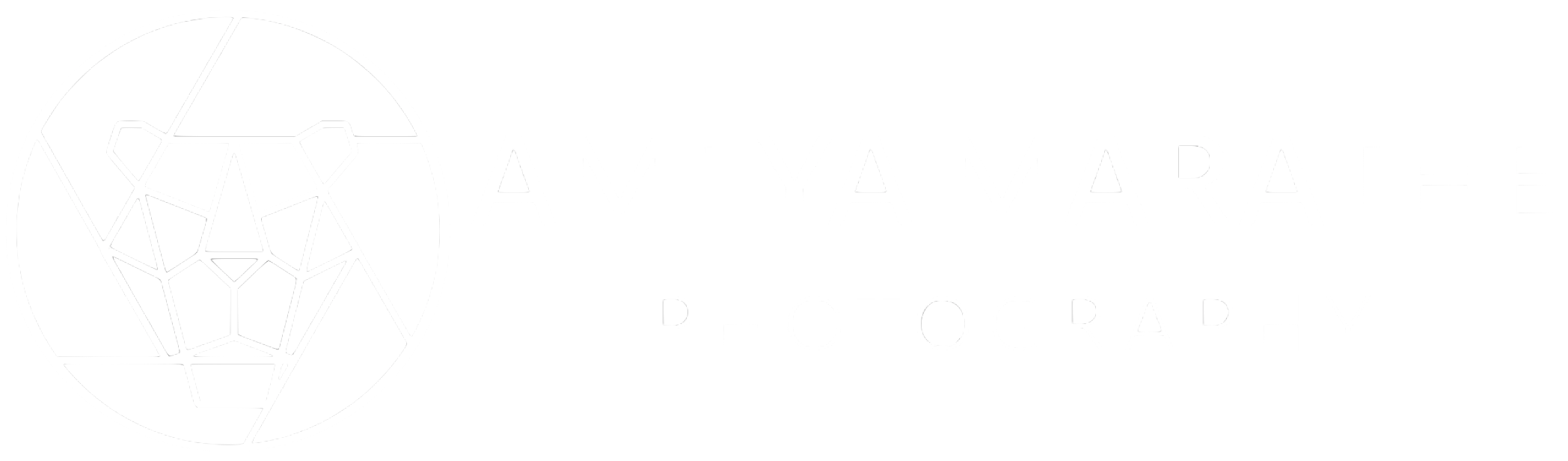 Ameya Marathe Photography